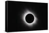 Total Solar Eclipse, Outer Corona-John Sanford-Framed Stretched Canvas