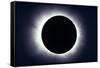 Total Solar Eclipse Taken Near Carberry, Manitoba, Canada-null-Framed Stretched Canvas