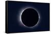 Total Solar Eclipse Taken Near Carberry, Manitoba, Canada-null-Framed Stretched Canvas