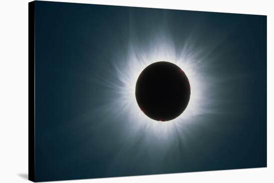 Total Solar Eclipse with Corona-Dr. Fred Espenak-Stretched Canvas