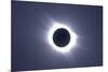 Total Solar Eclipse-null-Mounted Premium Photographic Print