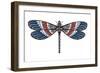 Totem Dragonfly-Matt James-Framed Art Print