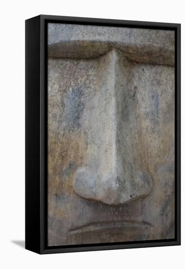 Totem I-Brian Moore-Framed Stretched Canvas