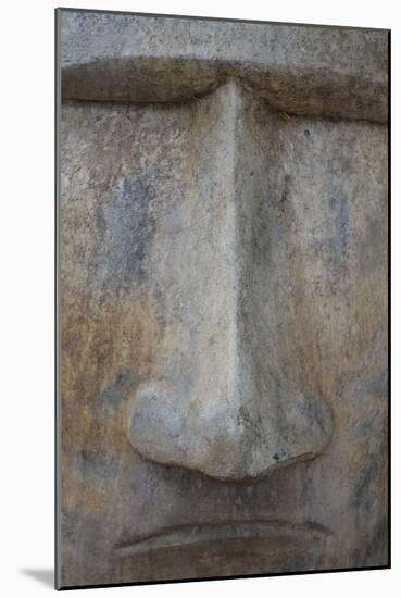 Totem I-Brian Moore-Mounted Photographic Print