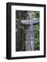 Totem in Assiniboine Park, Canada-Howie Garber-Framed Photographic Print