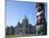 Totem Pole and Parliament Building, Victoria, Vancouver Island, British Columbia, Canada, North Ame-Martin Child-Mounted Photographic Print