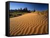 Totem Pole and Sand Springs, Monument Valley Tribal Park, Arizona, USA-Lee Frost-Framed Stretched Canvas