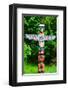 Totem Pole in Stanley Park-null-Framed Art Print