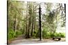 Totem Pole, Sitka National Historic Park aka Totem Park, Sitka, Alaska-Mark A Johnson-Stretched Canvas