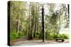 Totem Pole, Sitka National Historic Park aka Totem Park, Sitka, Alaska-Mark A Johnson-Stretched Canvas