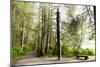 Totem Pole, Sitka National Historic Park aka Totem Park, Sitka, Alaska-Mark A Johnson-Mounted Photographic Print