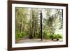 Totem Pole, Sitka National Historic Park aka Totem Park, Sitka, Alaska-Mark A Johnson-Framed Photographic Print