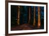 Totem Pole, Sitka National Historic Park aka Totem Park, Sitka, Alaska-Mark A Johnson-Framed Photographic Print