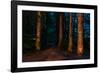 Totem Pole, Sitka National Historic Park aka Totem Park, Sitka, Alaska-Mark A Johnson-Framed Photographic Print