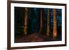 Totem Pole, Sitka National Historic Park aka Totem Park, Sitka, Alaska-Mark A Johnson-Framed Photographic Print