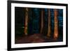 Totem Pole, Sitka National Historic Park aka Totem Park, Sitka, Alaska-Mark A Johnson-Framed Photographic Print
