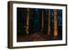 Totem Pole, Sitka National Historic Park aka Totem Park, Sitka, Alaska-Mark A Johnson-Framed Photographic Print