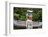 Totem Pole, Stanley Park, Vancouver, British Columbia, Canada, North America-Richard Cummins-Framed Photographic Print