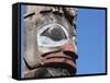 Totem Pole, Thunderbird Park, Victoria, Vancouver Island, British Columbia, Canada, North America-Martin Child-Framed Stretched Canvas