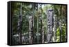 Totem poles from the Sepik River, Botanical Garden, Port Moresby, Papua New Guinea, Pacific-Michael Runkel-Framed Stretched Canvas