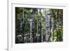 Totem poles from the Sepik River, Botanical Garden, Port Moresby, Papua New Guinea, Pacific-Michael Runkel-Framed Photographic Print