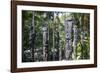 Totem poles from the Sepik River, Botanical Garden, Port Moresby, Papua New Guinea, Pacific-Michael Runkel-Framed Photographic Print