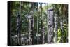 Totem poles from the Sepik River, Botanical Garden, Port Moresby, Papua New Guinea, Pacific-Michael Runkel-Stretched Canvas