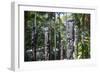 Totem poles from the Sepik River, Botanical Garden, Port Moresby, Papua New Guinea, Pacific-Michael Runkel-Framed Photographic Print