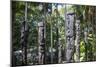 Totem poles from the Sepik River, Botanical Garden, Port Moresby, Papua New Guinea, Pacific-Michael Runkel-Mounted Photographic Print