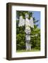 Totem Poles in Cemetery in Alert Bay, British Columbia, Canada-Michael DeFreitas-Framed Photographic Print