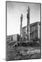 Totem Poles-E.H. Harriman-Mounted Photographic Print