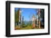 Totem's Poles in Stanley Park-null-Framed Art Print