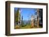 Totem's Poles in Stanley Park-null-Framed Art Print