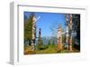 Totem's Poles in Stanley Park-null-Framed Art Print