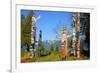 Totem's Poles in Stanley Park-null-Framed Art Print