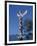 Totems, Stanley Park, Vancouver, British Columbia, Canada, North America-Harding Robert-Framed Photographic Print