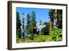 Totems Stanley Park Vancouver-null-Framed Art Print