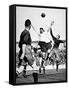 Tottenham Hotspur Vs. Bury, White Hart Lane, 1929-null-Framed Stretched Canvas