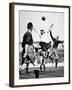 Tottenham Hotspur Vs. Bury, White Hart Lane, 1929-null-Framed Photographic Print