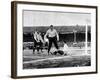 Tottenham Hotspur Vs. Sheffield United, F.A. Cup Final, 1901-null-Framed Photographic Print