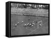 Tottenham Hotspur vs Sheffield United-null-Framed Stretched Canvas