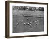 Tottenham Hotspur vs Sheffield United-null-Framed Photographic Print