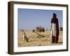 Touareg Tribesman and His Hunting Dog-John Warburton-lee-Framed Photographic Print