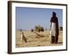 Touareg Tribesman and His Hunting Dog-John Warburton-lee-Framed Photographic Print