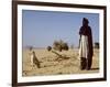 Touareg Tribesman and His Hunting Dog-John Warburton-lee-Framed Photographic Print