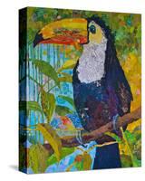 Toucan #1-null-Stretched Canvas