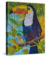 Toucan #1-null-Stretched Canvas