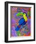 Toucan, 2021, (oil on canvas)-Jane Tattersfield-Framed Giclee Print