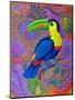 Toucan, 2021, (oil on canvas)-Jane Tattersfield-Mounted Giclee Print