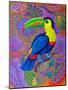 Toucan, 2021, (oil on canvas)-Jane Tattersfield-Mounted Giclee Print